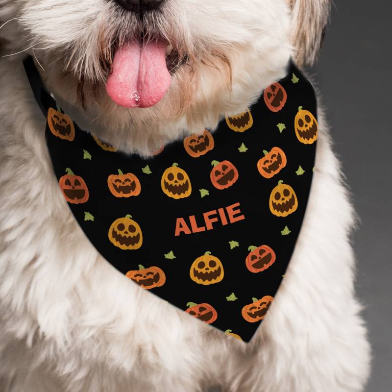 Personalised Pumpkin Patch Dog Bandana